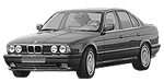 BMW E34 C1600 Fault Code